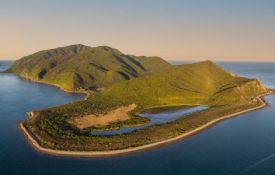 Kapiti Island Nature Tours